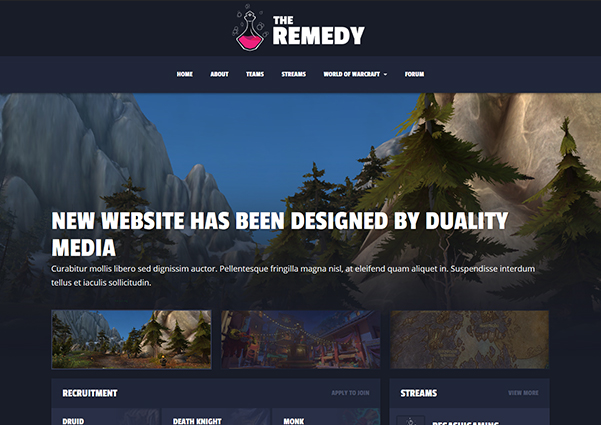 The Remedy guild website design preview